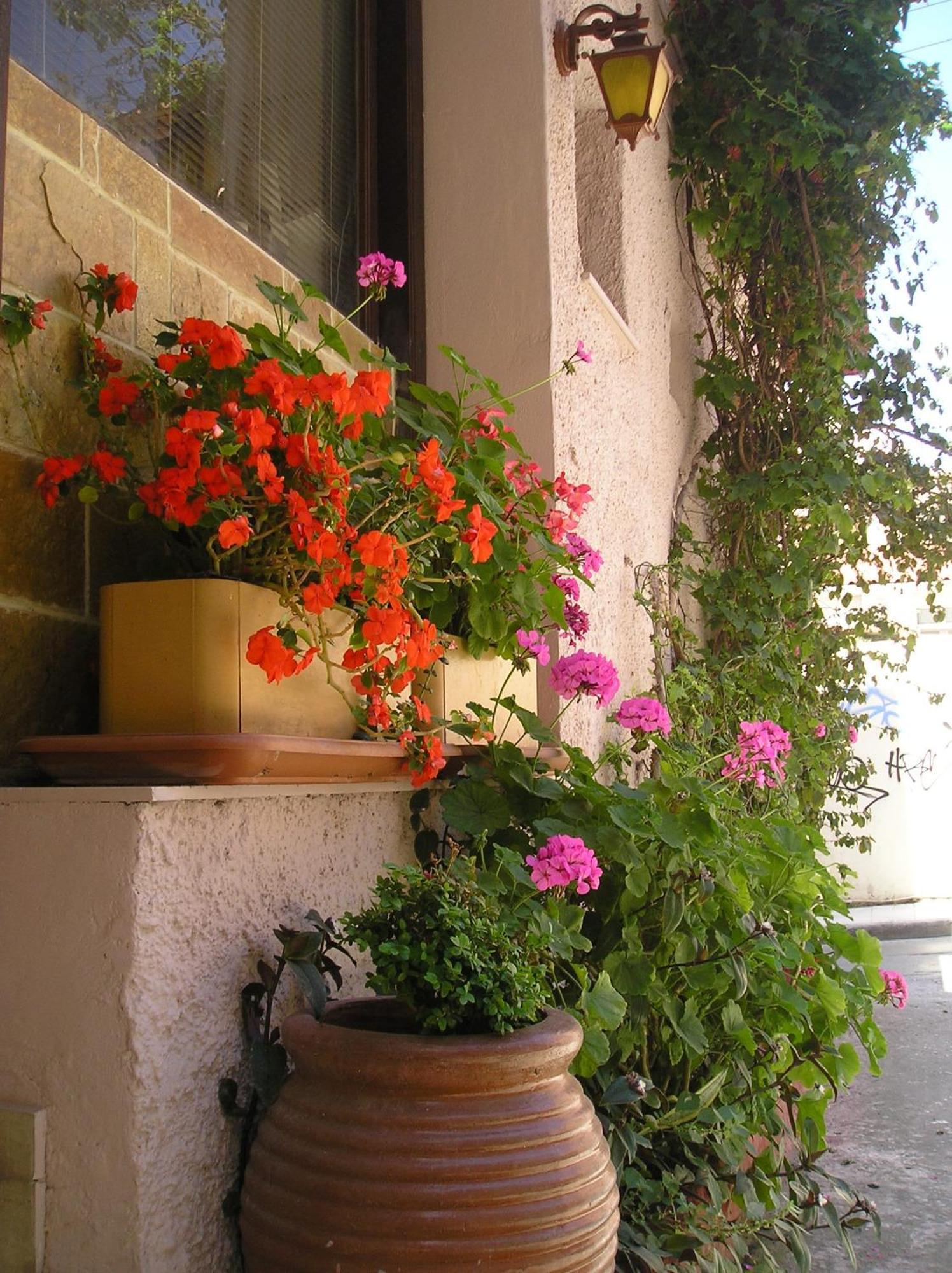 Tina Hotel Chania  Exterior photo